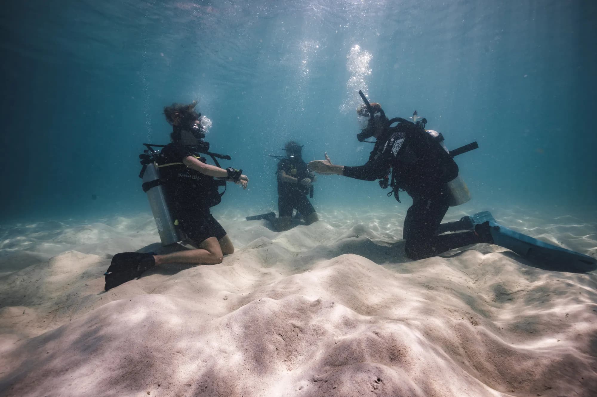 Hang Loose Divers professional dive team