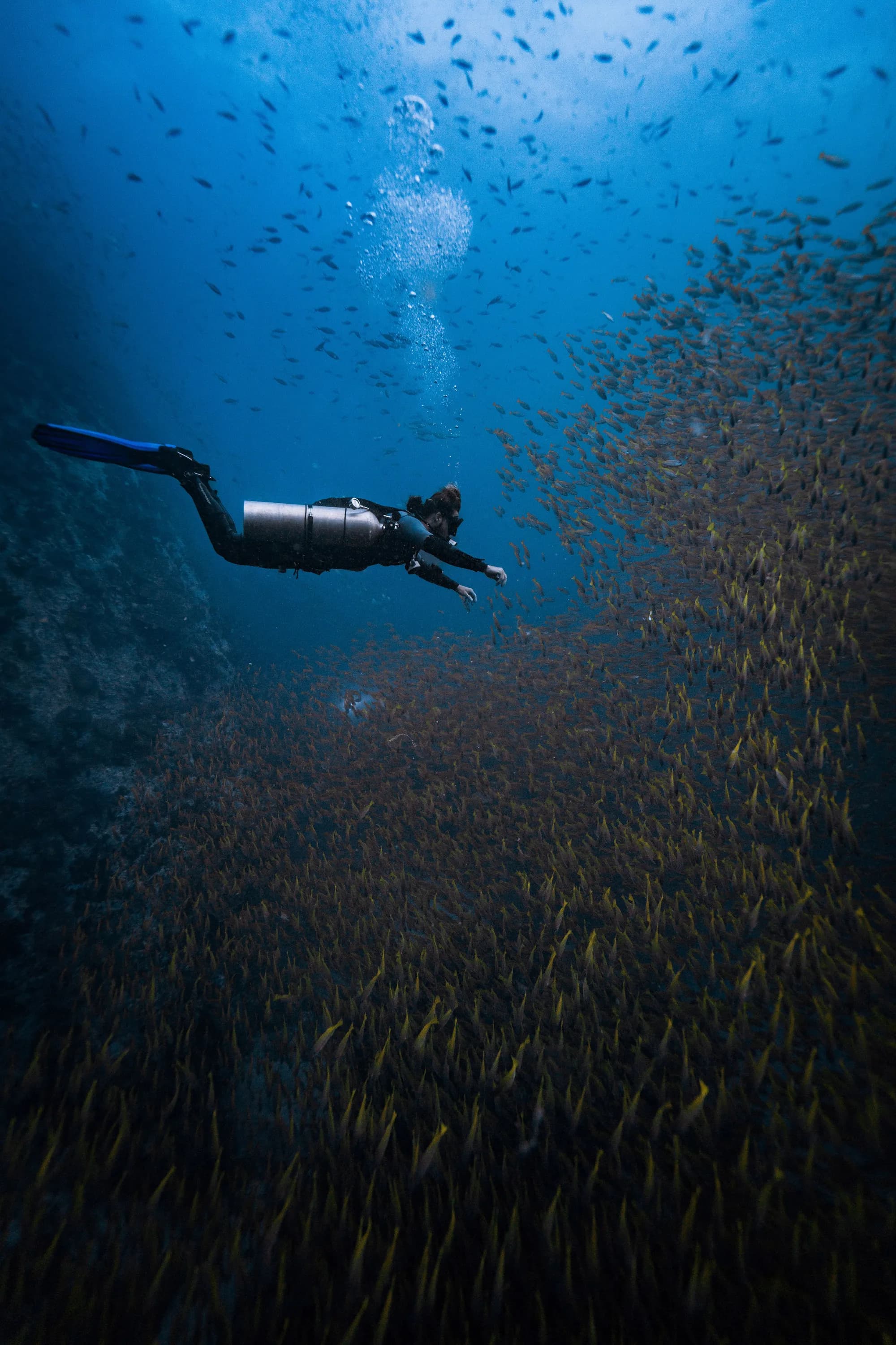 Independent Diver