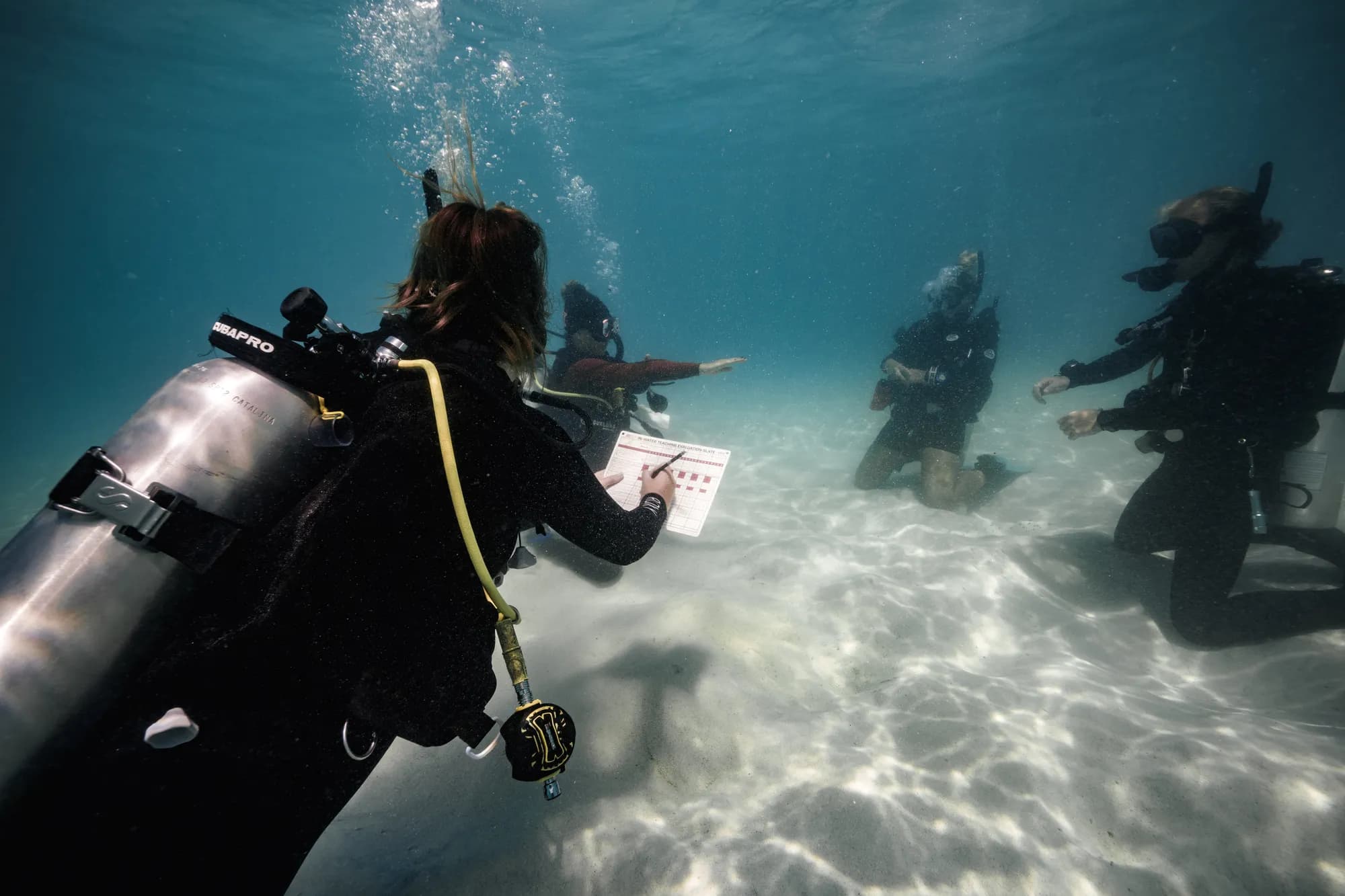Open Water Instructor